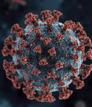 Covid 2026. Noua tulpină „Cicada” pune la încercare vaccinurile – și are simptome pe care mulți le ignoră