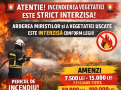 Primăria Ștefănești avertizează cu privire la incendierea vegetației