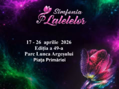 Începe Simfonia Lalelelor! Iata programul!