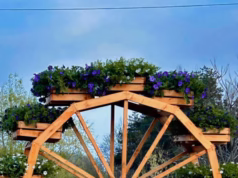 Podul Viilor a prins viață! Amenajare peisagistică spectaculoasă