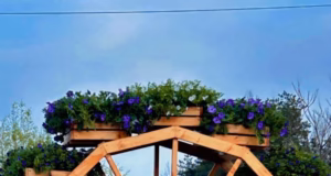 Podul Viilor a prins viață! Amenajare peisagistică spectaculoasă