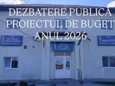 Dezbaterea publică a bugetului comunei Bradu. Află detalii!