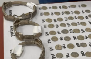 O comoară dacică a fost descoperită din întâmplare în Botoșani. Persoana care a găsit tezaurul l-a predat autorităților