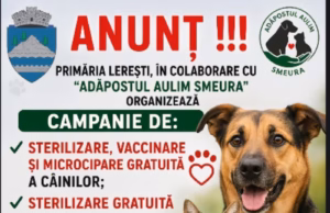 Campanie de sterilizare gratuită a câinilor și pisicilor în Lerești