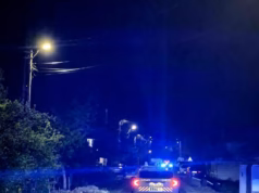 Echipaje ale Poliției Locale, patrulă în Bradu, în zona unde urșii și-au făcut apariția