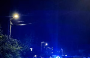 Echipaje ale Poliției Locale, patrulă în Bradu, în zona unde urșii și-au făcut apariția