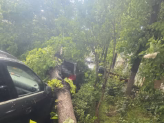 Furtuna a făcut ravagii în Pitești: pagube materiale semnificative