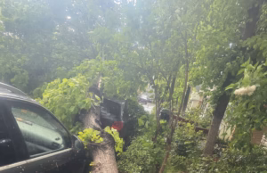 Furtuna a făcut ravagii în Pitești: pagube materiale semnificative