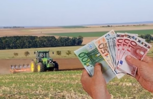 Ajutoare de 50.000 euro pentru fermierii afectați de scumpirile la motorină și îngrășăminte