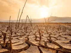 Cel mai puternic El Nino din ultimul secol va duce temperaturile globale la noi maxime, avertizează specialiștii