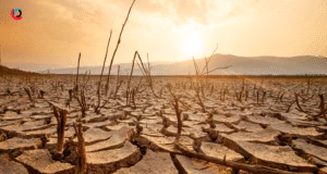 Cel mai puternic El Nino din ultimul secol va duce temperaturile globale la noi maxime, avertizează specialiștii