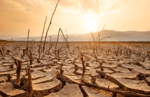 Cel mai puternic El Nino din ultimul secol va duce temperaturile globale la noi maxime, avertizează specialiștii