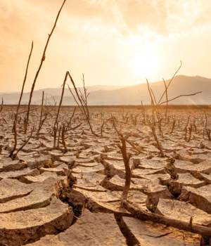 Cel mai puternic El Nino din ultimul secol va duce temperaturile globale la noi maxime, avertizează specialiștii