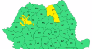 Cod galben de furtuni, vineri