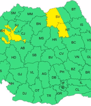 Cod galben de furtuni, vineri