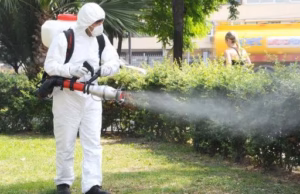 Acțiuni de dezinsecție în Pitești, în seara de 22 spre 23 iunie 2026