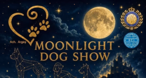 Seară specială la Bradu! Moonlight Dog Show, evenimentul iubitorilor de animale!