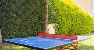 Primarul Aurel Bălășoiu anunță: fiecare sat din Rociu a fost dotat cu mese de tenis!
