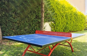 Primarul Aurel Bălășoiu anunță: fiecare sat din Rociu a fost dotat cu mese de tenis!