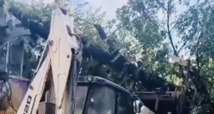 Furtuna a provocat pagube în Argeș. Copaci doborâți pe calea ferată și într-o grădină publică