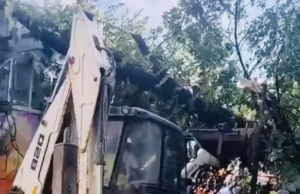 Furtuna a provocat pagube în Argeș. Copaci doborâți pe calea ferată și într-o grădină publică