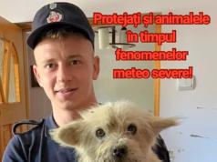 Protejați și animalele în timpul fenomenelor meteo severe!