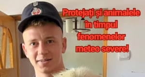 Protejați și animalele în timpul fenomenelor meteo severe!