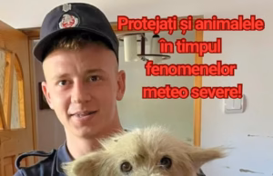Protejați și animalele în timpul fenomenelor meteo severe!