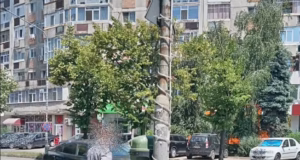 Primăria Piteşti: NU depozitați deșeurile menajere din casă în/lângă coșurile stradale!