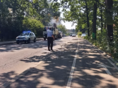 Primăria Pitești: Arborii periculoși din Pădurea Trivale vor fi îndepărtați. Cetățenii sunt rugați să respecte restricțiile