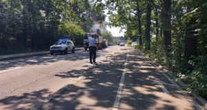 Primăria Pitești: Arborii periculoși din Pădurea Trivale vor fi îndepărtați. Cetățenii sunt rugați să respecte restricțiile