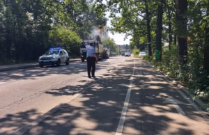 Primăria Pitești: Arborii periculoși din Pădurea Trivale vor fi îndepărtați. Cetățenii sunt rugați să respecte restricțiile