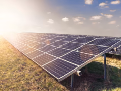 Căteasca: parc fotovoltaic la Coșeri