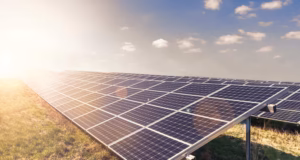 Căteasca: parc fotovoltaic la Coșeri