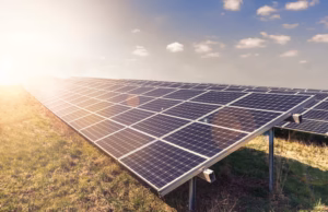Căteasca: parc fotovoltaic la Coșeri