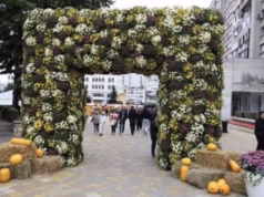 Toamna Piteșteană revine! Încep înscrierile pentru comercianți