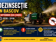 Primăria Bascov anunță o nouă acțiune de dezinsecție. Atenție la intervalele în care trebuie evitate zonele tratate!