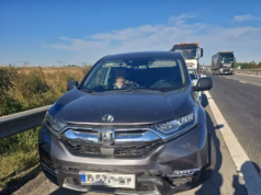 Accident pe A1: un autoturism a lovit un porc. Trei persoane se aflau în mașină