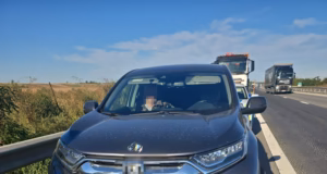 Accident pe A1: un autoturism a lovit un porc. Trei persoane se aflau în mașină