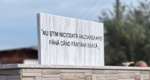 Bradu are un nou izvor amenajat. Dănuț Stroe: Investițiile continuă în zonă